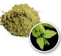 Colorless Henna Powder for Dry Place