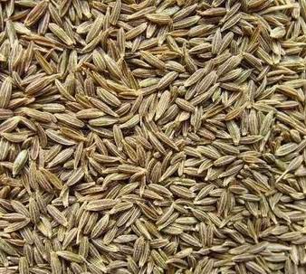 Cumin Seeds(Jeera)