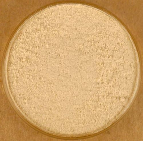 Garlic powder, Packaging Type : brown