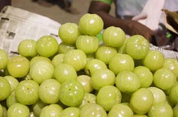 Organic Indian Gooseberry, Packaging Size : 50kg