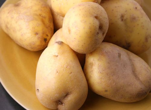Potato, Country of Origin : India