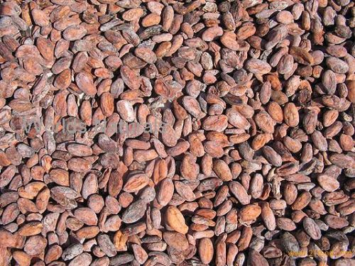 Affrodable Robusta Beans, Arabica Beans