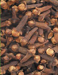 Clove Seeds