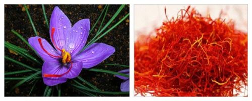 Saffron