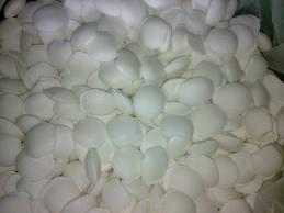 Calcium Carbide, Sodium Cyanide