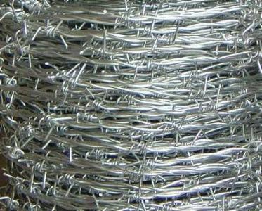 Barbed Wire, Material : SS
