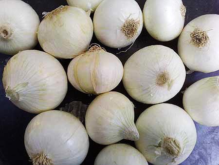 White Onion