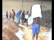 Sugar Form : Crystal