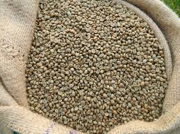 Robusta Coffee, Screen Size : 13 – 19.