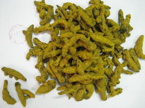 Turmeric Finger, Turmeric Bulb