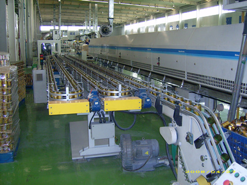 Roller Chain Conveyor, Iron Cans