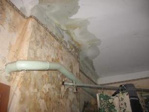 Wall Dampness Treatment