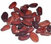 Cocoa Bean