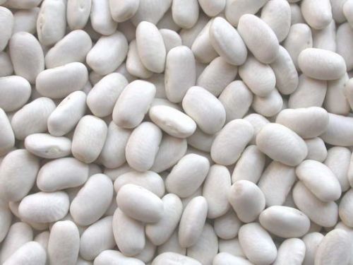 White Bean