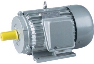 Y Series 3- Phase Induction Motor
