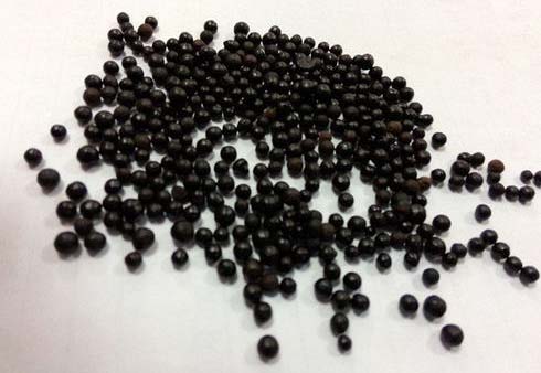 Humic Amino Acid Shiny Black Balls