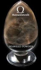 Seaweed Powder