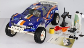 1:5 Petrol Rc Cars Model