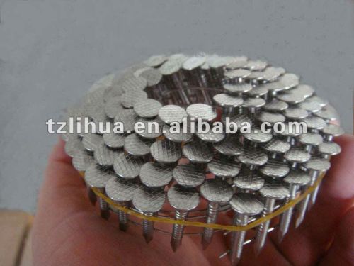 Stainless Steel Nails