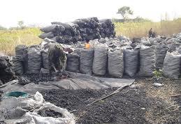 Black pepper, Cultivation Type : Natural