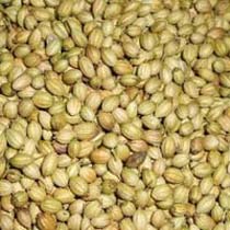 Coriander Seeds