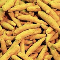 Turmeric Finger