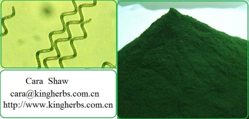 Spirulina Extract
