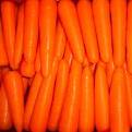 Fresh carrot, Storage Condition : Natural