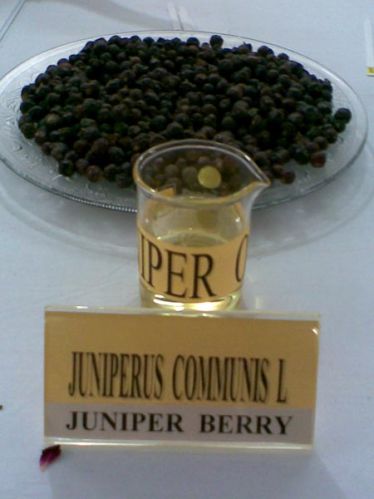 Juniper Oil