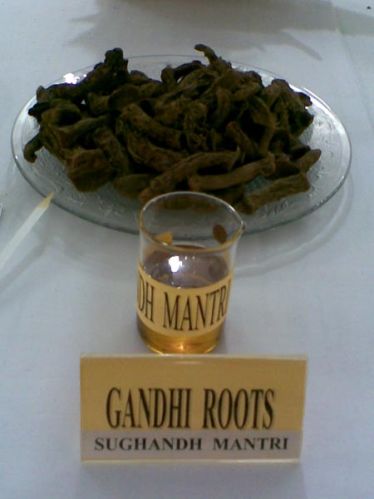 Sugandh Mantri Oil