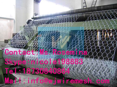 Heavy Type Hexagonal Wire Mesh