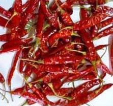 Dried Red Chillies