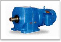 Worm Gear Motor