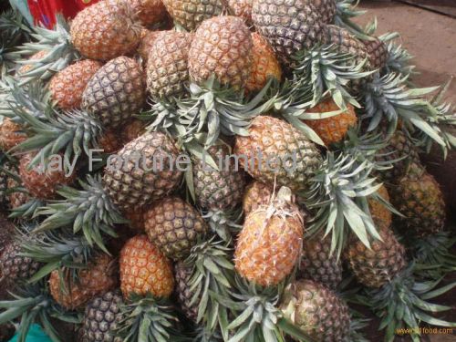 Fresh Pineapple