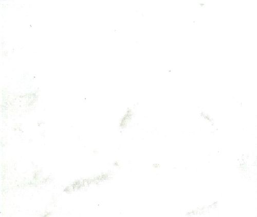 Pure White Marble Tiles