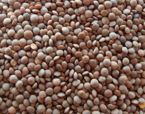 Organic Brown Masoor Dal
