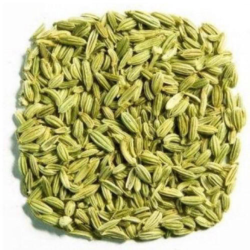 Fennel Seeds, Color : Green
