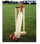 Adult Cricket Set