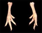 Frozen Halal Chicken Feet And Paw.