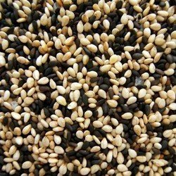 Sesame seed