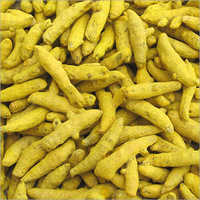 Natural turmeric finger, Shape : Long, Packaging Type : Yellow