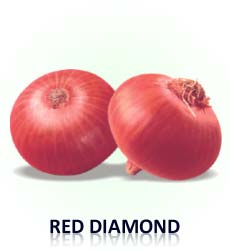 Red Diamond Onion Seed