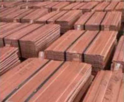 Copper cathodes, Supply Ability : 5000 ton per week