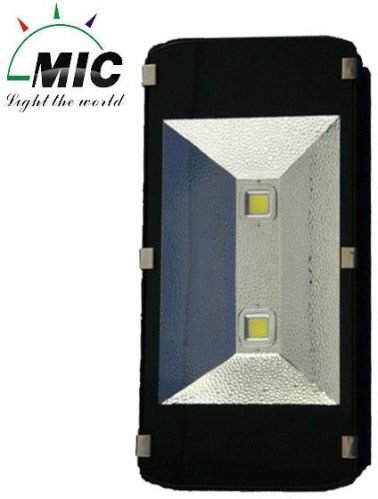 LED Floodlight Bulbs - (mic 200w)