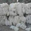 LDPE Scrap