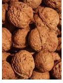 Walnuts, Shelf Life : 12 Months