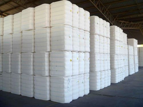 Cotton Bales