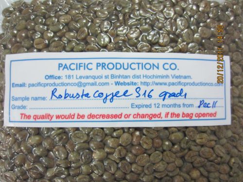 Robusta Coffee, Screen Size : 13 – 19.