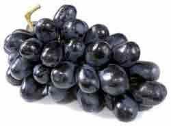 Black Seedless Grapes