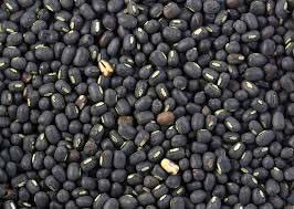Granules Organic Black Urad Dal, For Cooking, Style : Dried